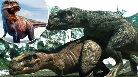 porn trex|Discover Premium HD Porn Videos .